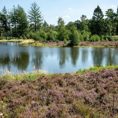 Villa Luxe Ruime In Natuurgebied Epe